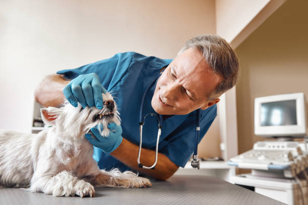 Best Emergency Dental Surgery in Nowata, OK
